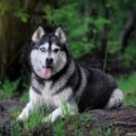 征途国际娱乐的安全保障与玩家权益保护 2g2j9w