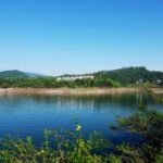 18. 如何在top1体育下载中找到你喜欢的体育项目 e4bqwz6