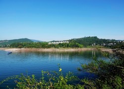 18. 如何在top1体育下载中找到你喜欢的体育项目