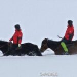 豪门国际pg:如何打造属于自己的豪门风格 gbdf1a