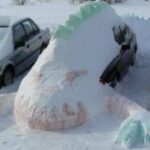 21. top1体育下载的社交功能,让你与朋友一起互动 hv5j493xr1