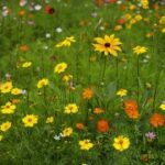 C7C7.app的用户反馈如何影响平台改进 s9g04d8a2