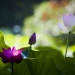 揭秘非凡娱乐官网的独特魅力与用户体验 t8gfh2z4