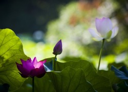 揭秘非凡娱乐官网的独特魅力与用户体验