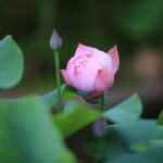 16. top1体育下载的安装与使用教程详解 xbld1hfe8